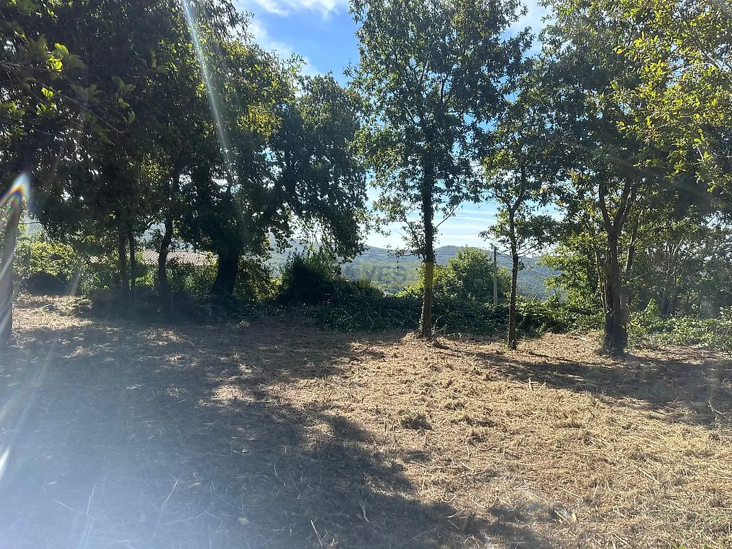 Moradia T0 à venda em Loivo, Vila Nova de Cerveira — foto 11
