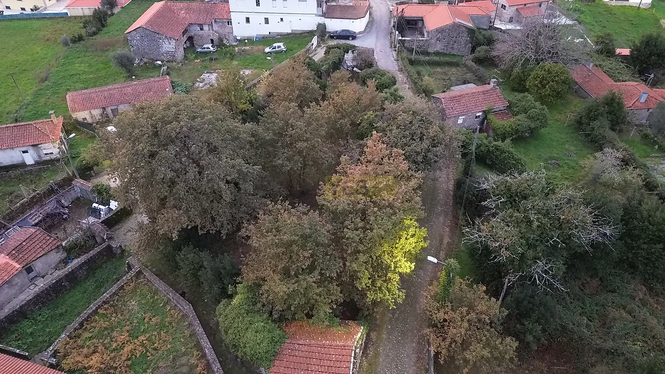 Moradia T0 à venda em Loivo, Vila Nova de Cerveira — foto 23