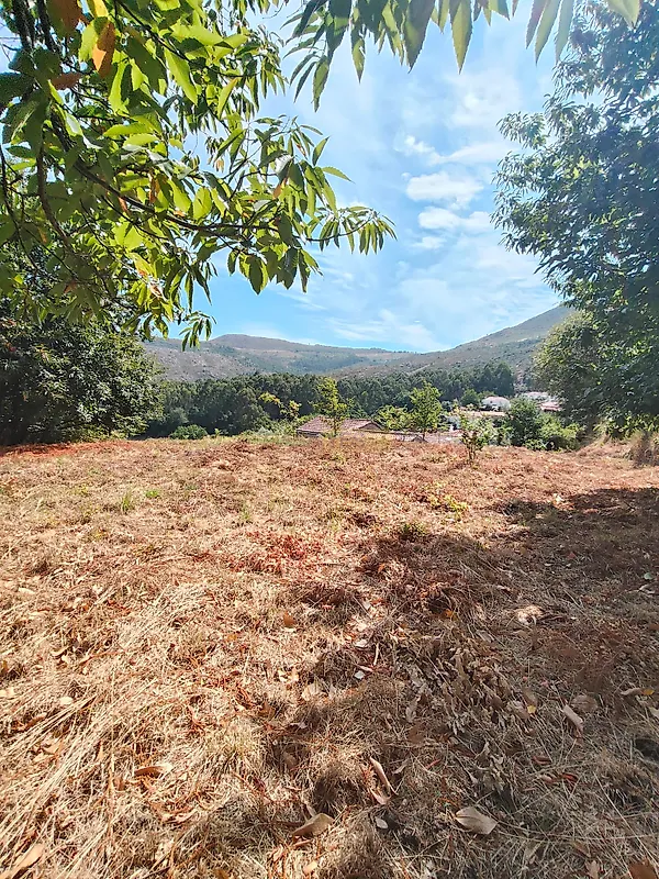 Moradia T0 à venda em Loivo, Vila Nova de Cerveira — foto 9