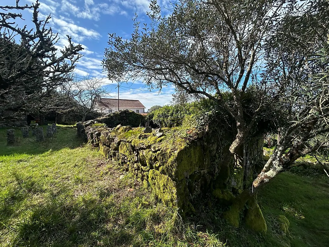 Moradia T0 à venda em Montaria, Viana do Castelo — foto 5