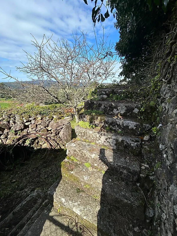 Moradia T0 à venda em Montaria, Viana do Castelo — foto 6