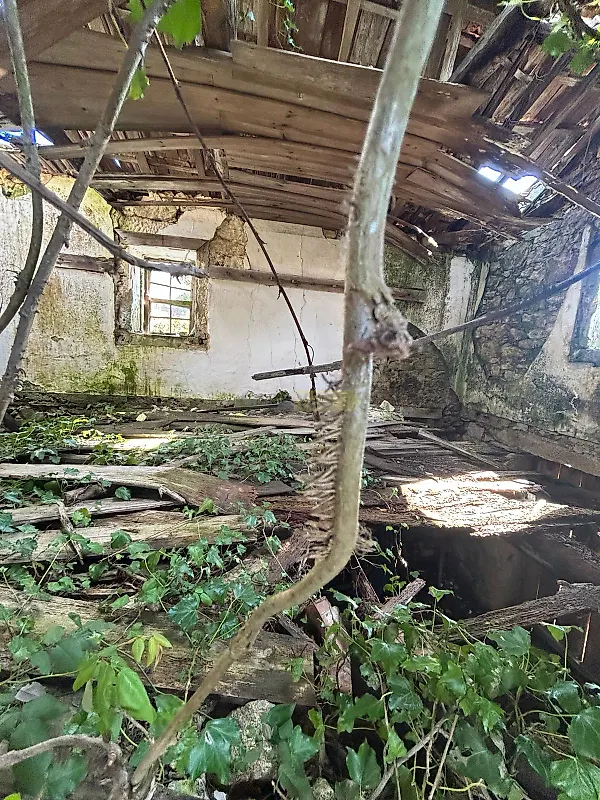 Moradia T0 à venda em Montaria, Viana do Castelo — foto 7