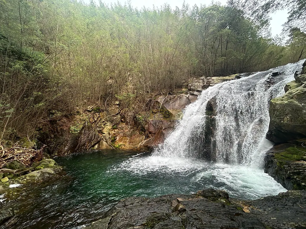 Moradia T0 à venda em Montaria, Viana do Castelo — foto 16