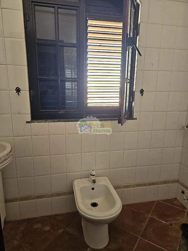 Moradia T3 à venda em Terena (São Pedro), Alandroal — foto 22