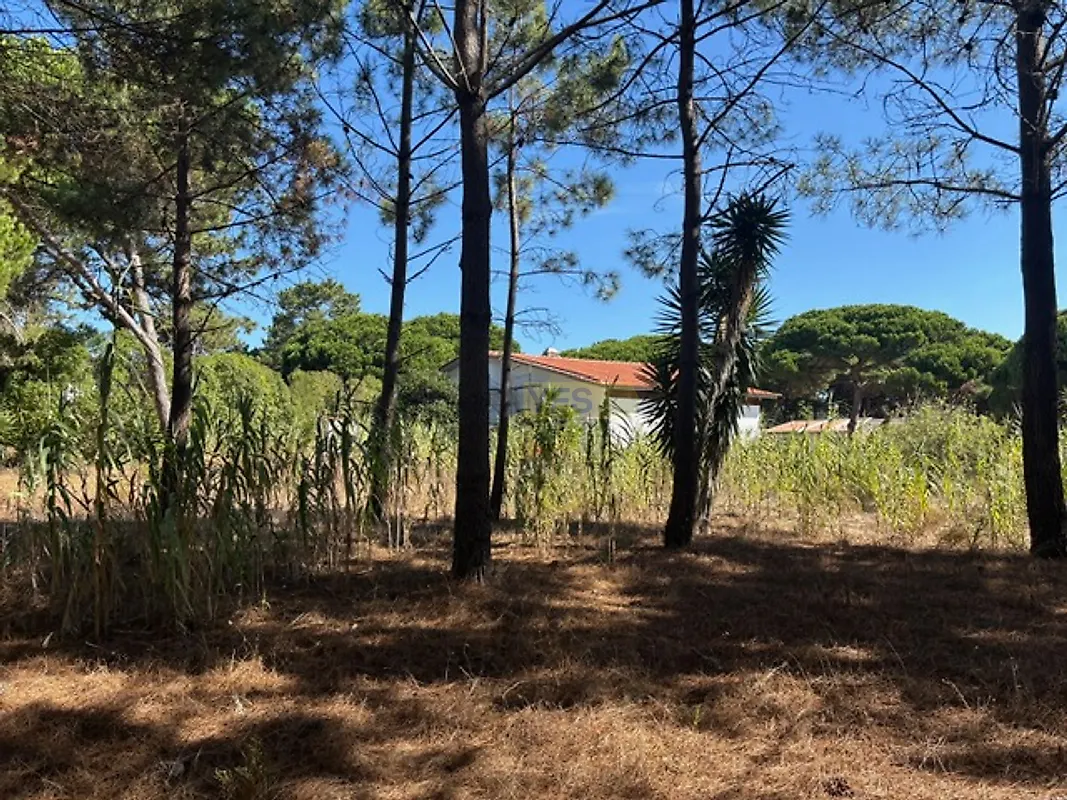 Moradia T6+ à venda em Colares, Sintra — foto 7