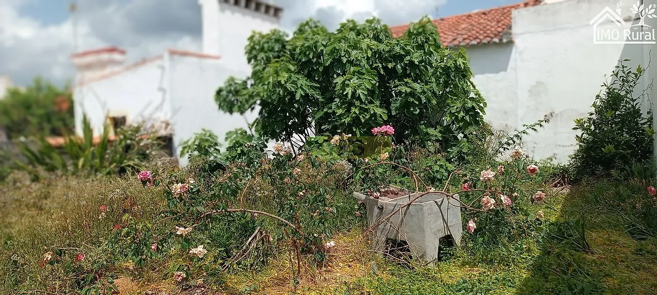 Moradia T1 à venda em Barbacena e Vila Fernando, Elvas — foto 12