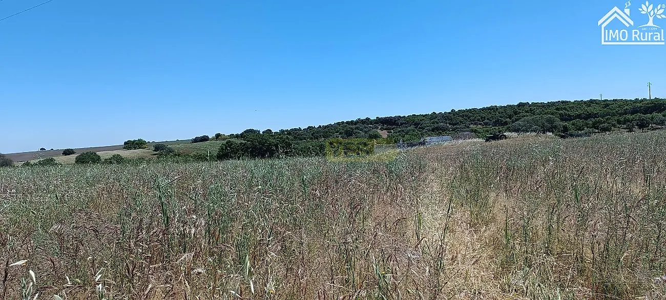 Apartamento T0 à venda em São Vicente e Ventosa, Elvas — foto 22