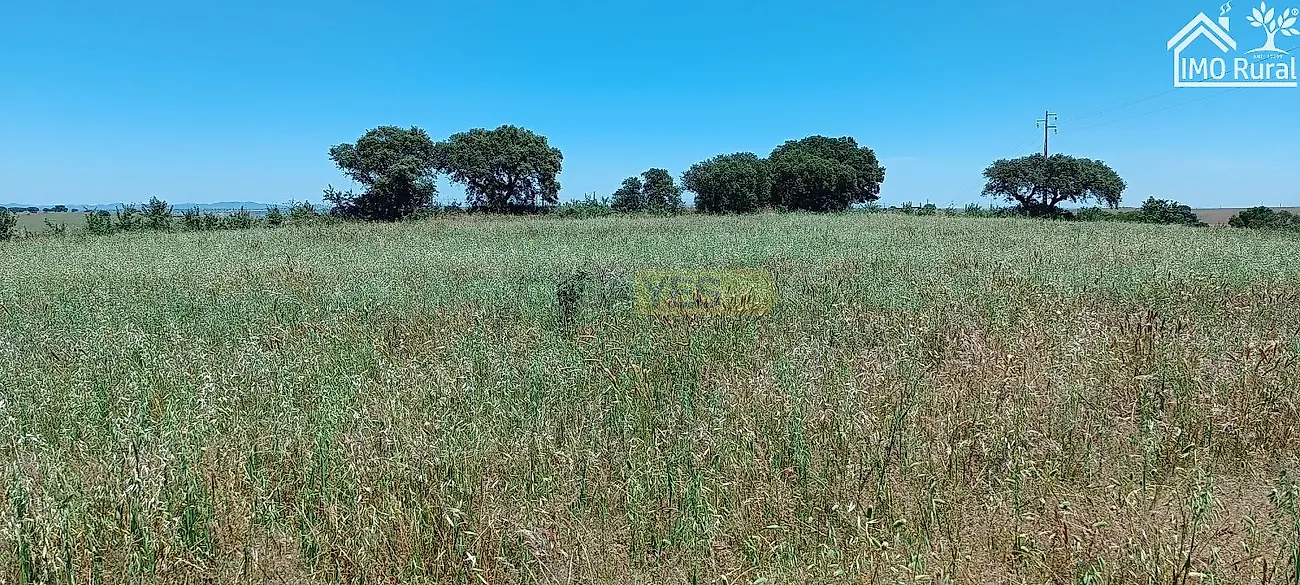 Apartamento T0 à venda em São Vicente e Ventosa, Elvas — foto 21