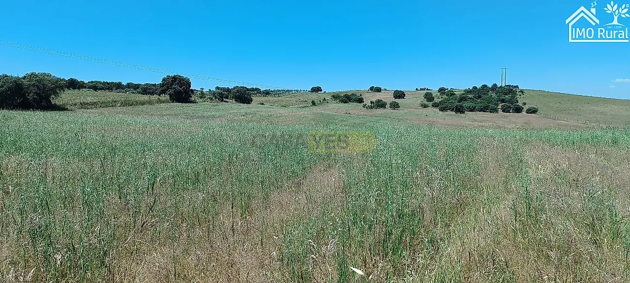 Apartamento T0 à venda em São Vicente e Ventosa, Elvas — foto 19