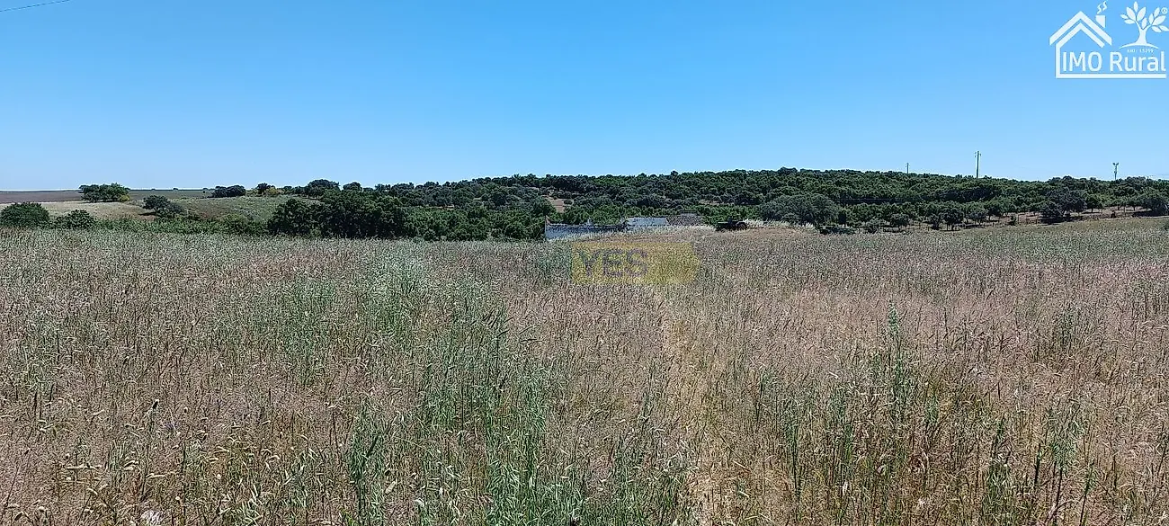 Apartamento T0 à venda em São Vicente e Ventosa, Elvas — foto 20