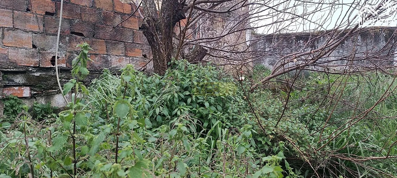 Moradia T1 à venda em Assunção, Ajuda, Salvador e Santo Ildefonso, Elvas — foto 15