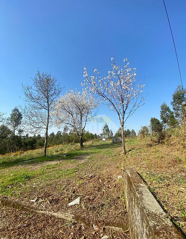 Moradia T3 à venda em Longos Vales, Monção — foto 13