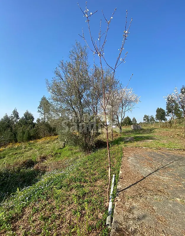 Moradia T3 à venda em Longos Vales, Monção — foto 11