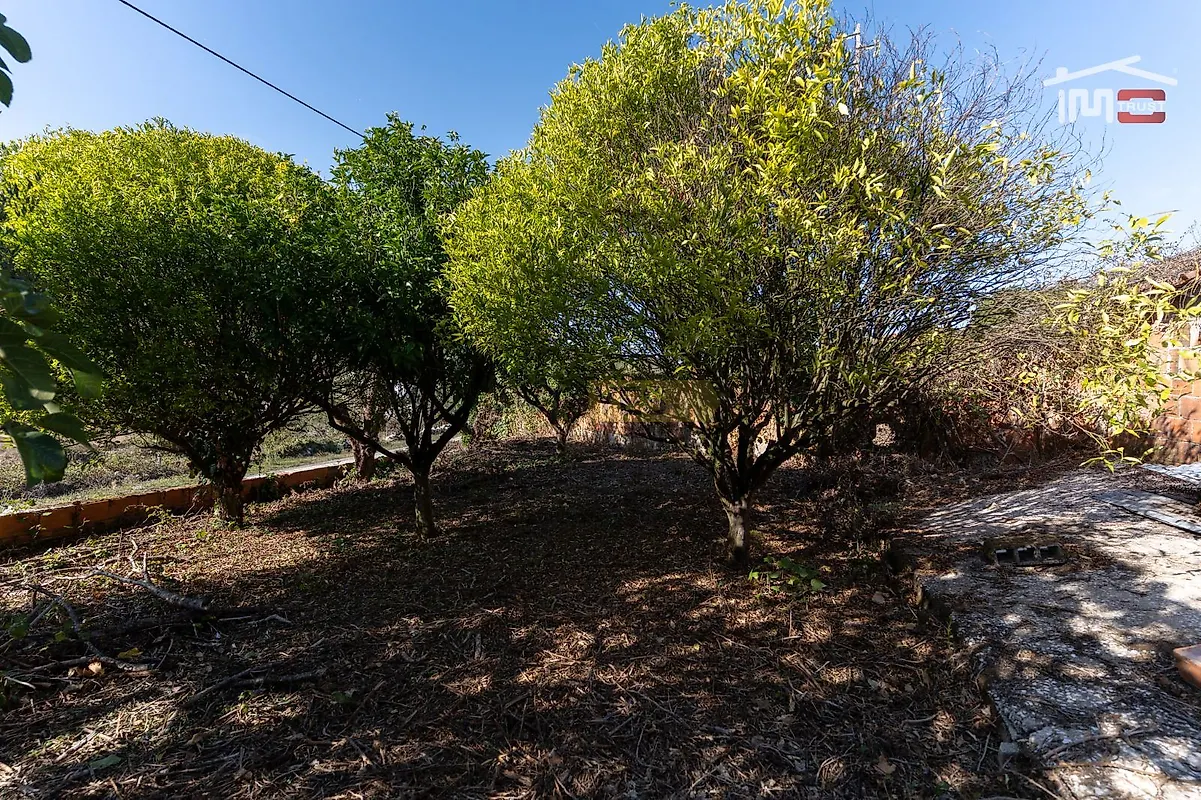 Moradia T3 à venda em Serro Ventoso, Porto de Mós — foto 35