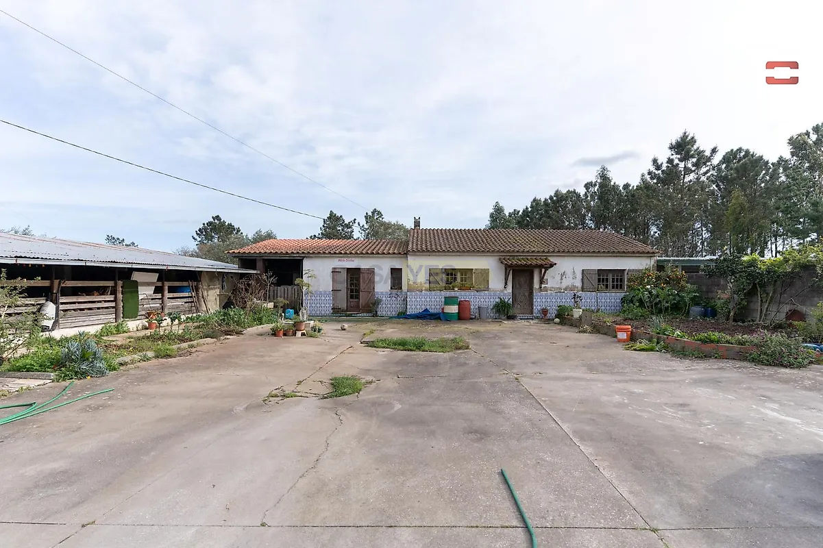 Moradia T4 à venda em Santa Catarina da Serra e Chainça, Leiria — foto 5