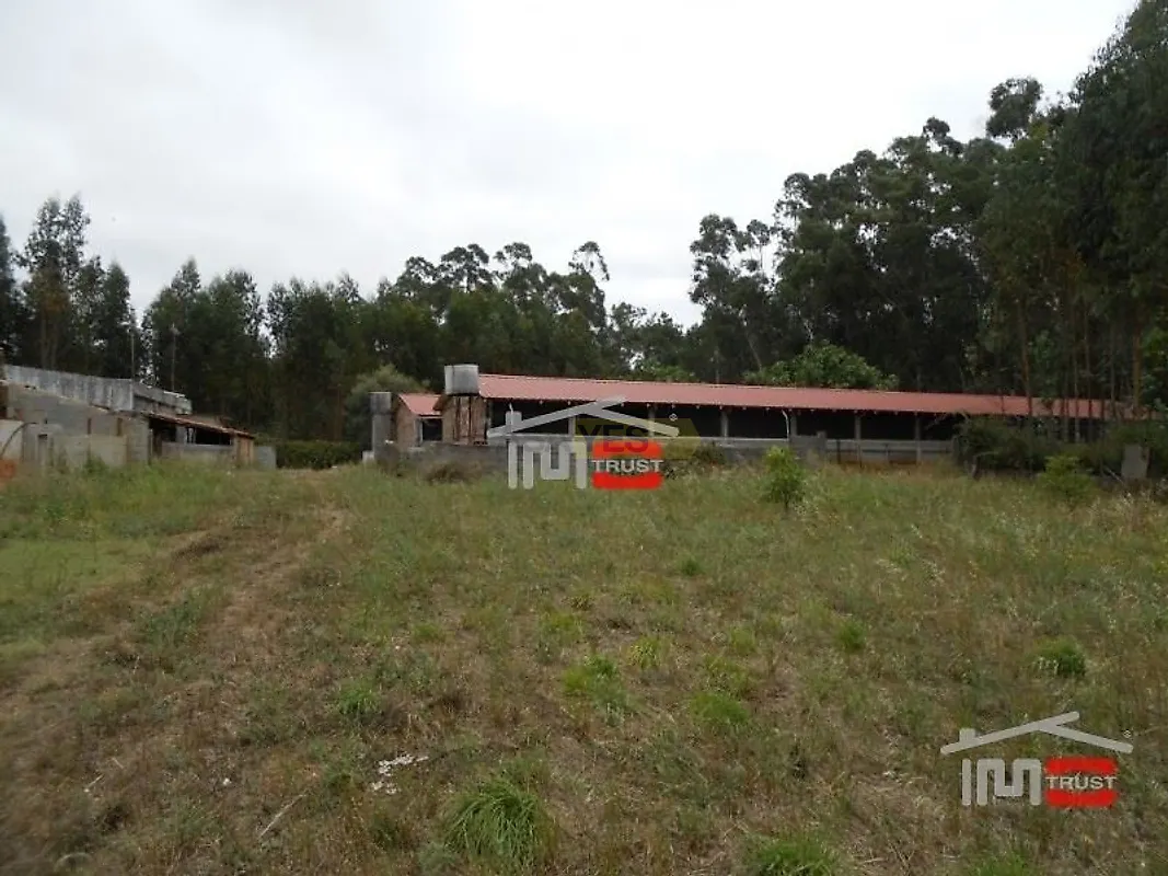 Moradia T5 à venda em Fátima, Ourém — foto 13