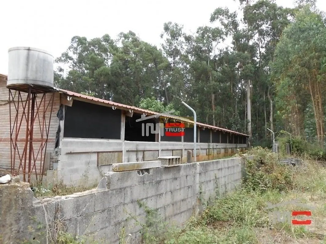 Moradia T5 à venda em Fátima, Ourém — foto 11