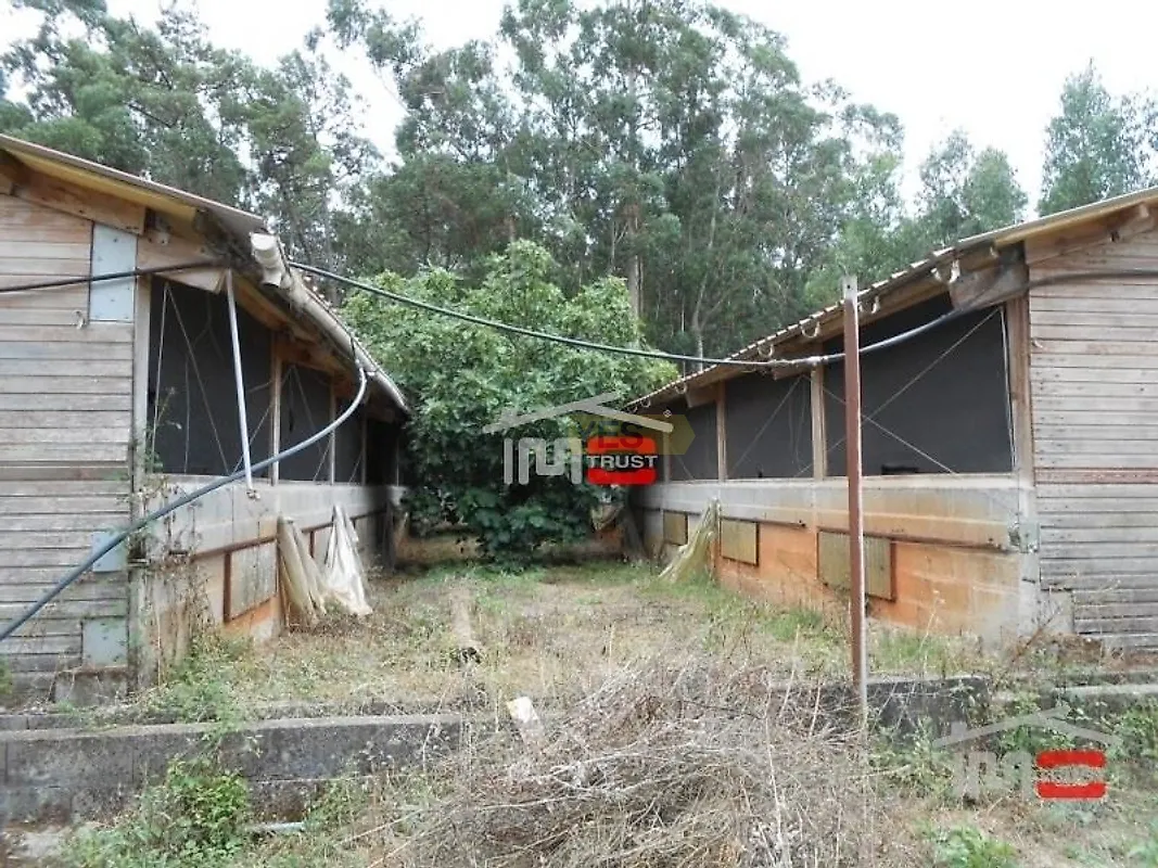 Moradia T5 à venda em Fátima, Ourém — foto 7