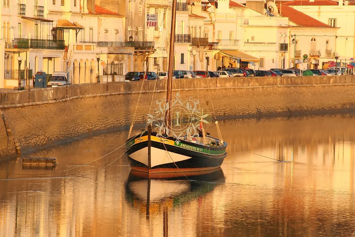 Moradia T2 à venda em Alcácer do Sal (Santa Maria do Castelo e Santiago) e Santa Susana, Alcácer do Sal — foto 18