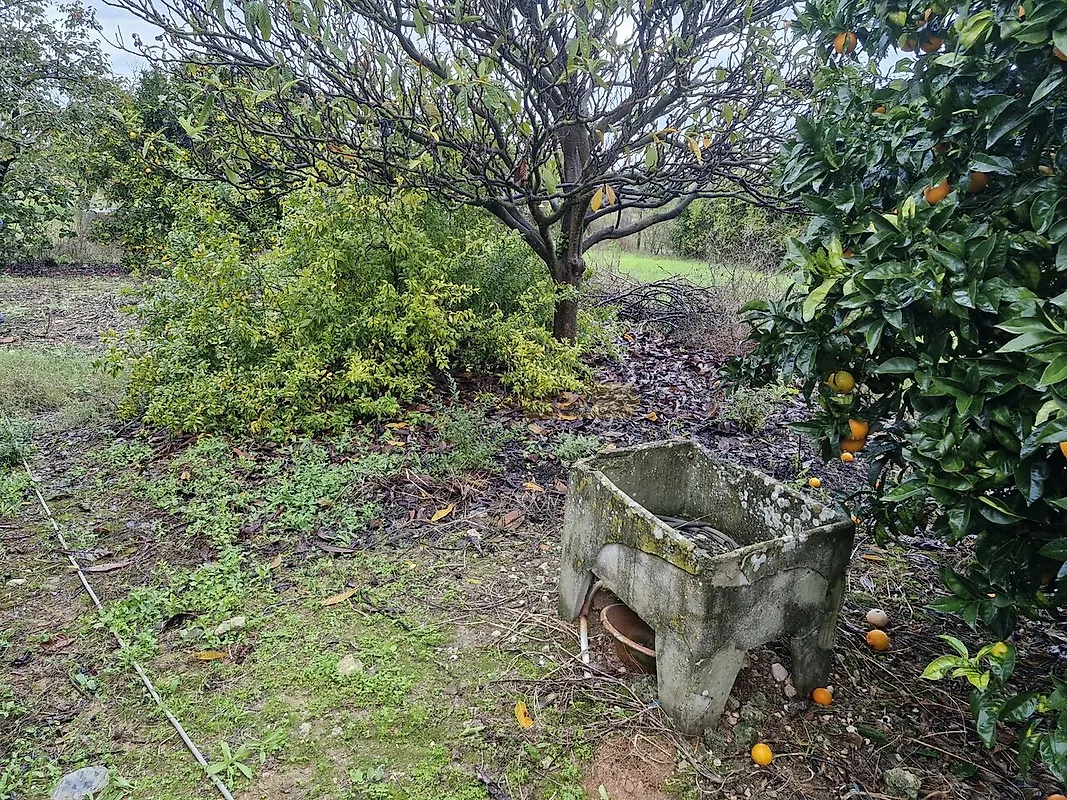 Moradia T4 à venda em Almoster, Santarém — foto 3