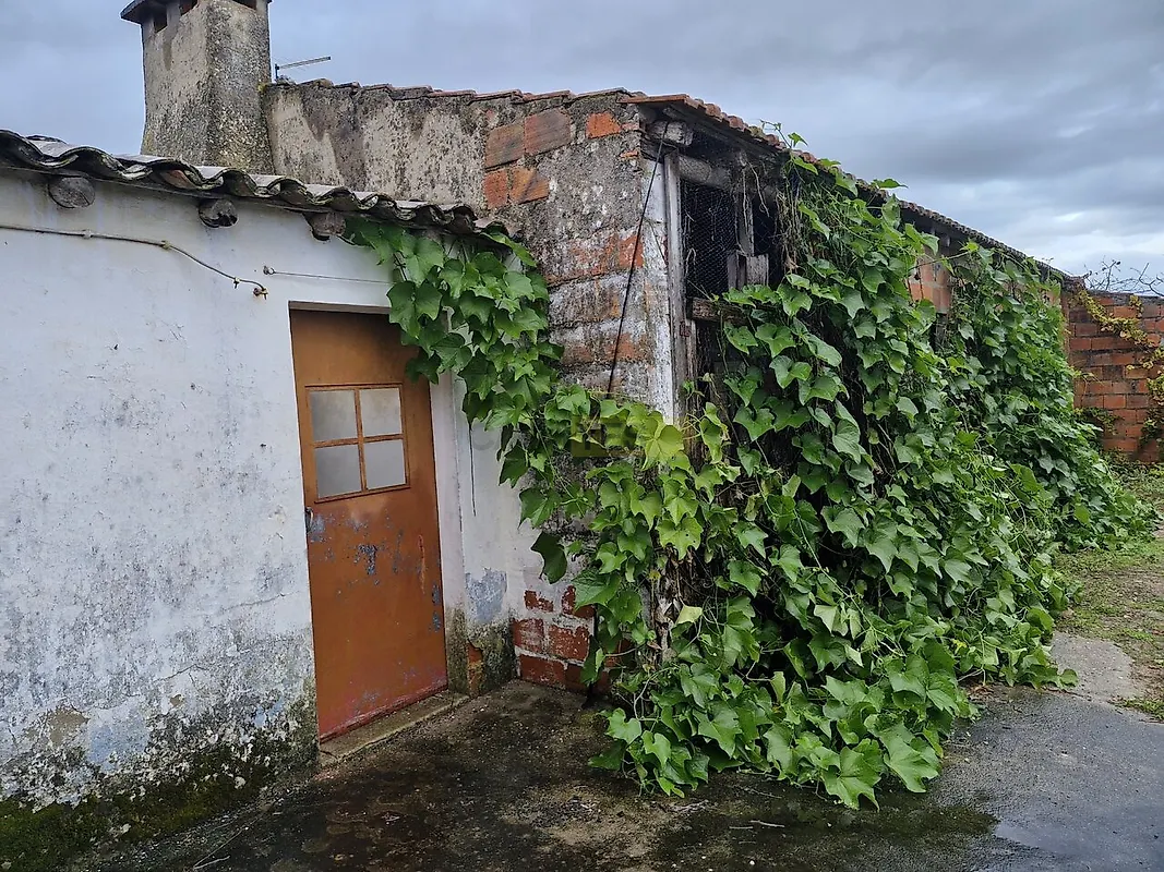 Moradia T4 à venda em Almoster, Santarém — foto 8