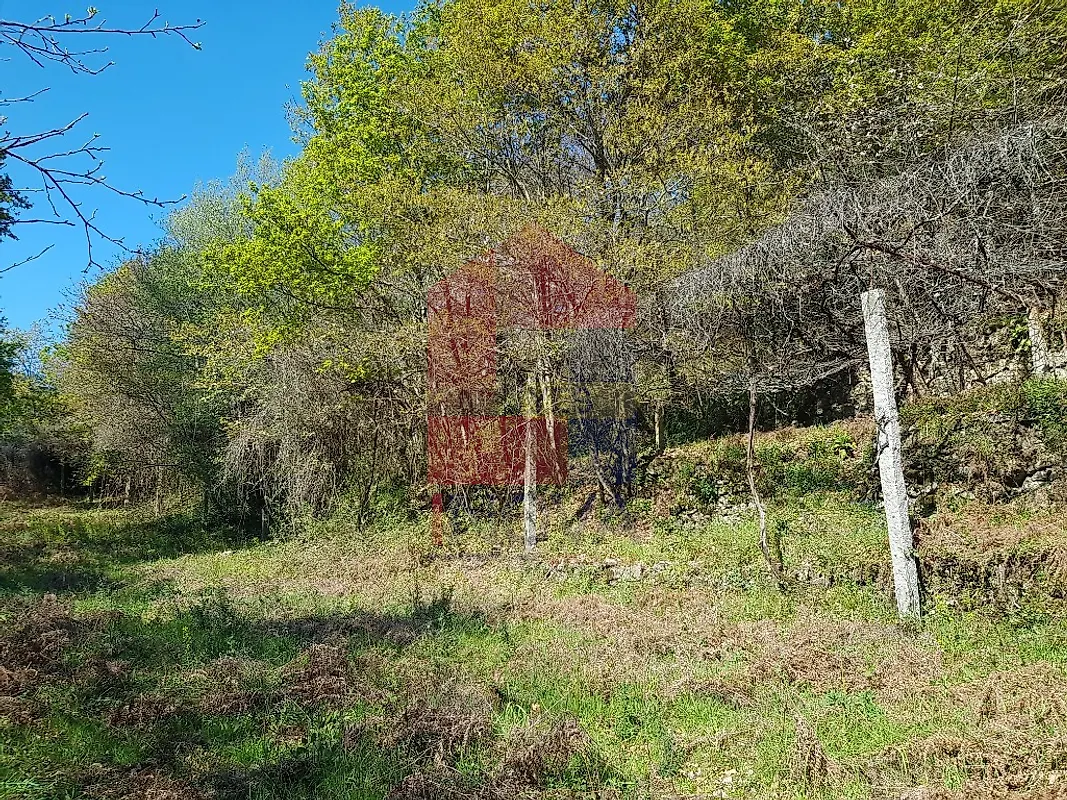 Moradia T0 à venda em Ribeira do Neiva, Vila Verde — foto 8