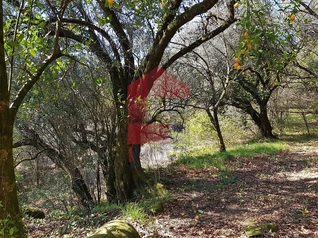 Moradia T0 à venda em Ribeira do Neiva, Vila Verde — foto 13