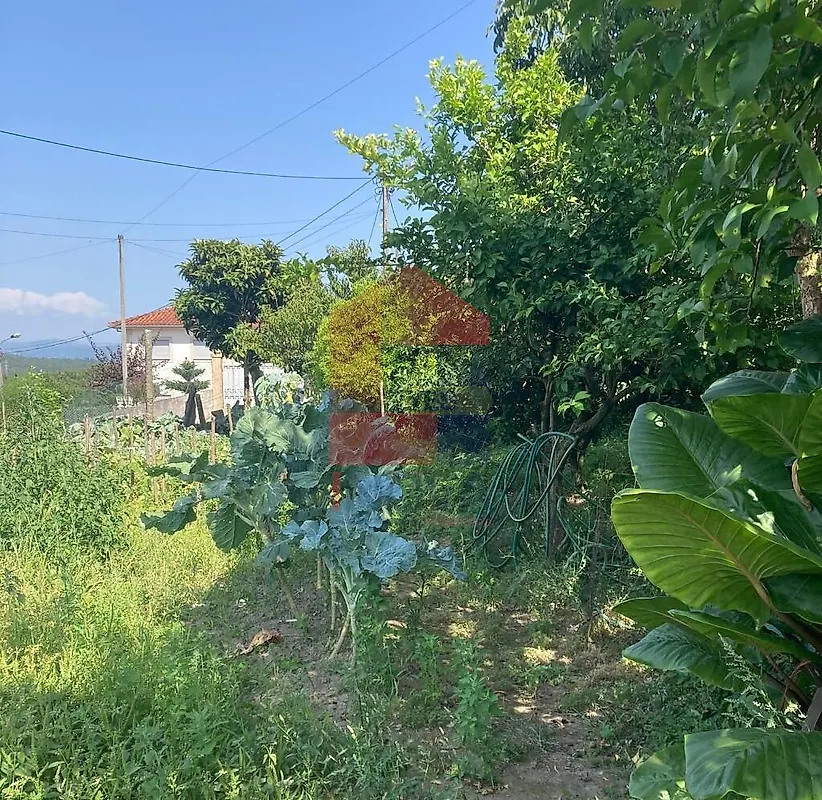 Moradia T0 à venda em Parada de Gatim, Vila Verde — foto 19