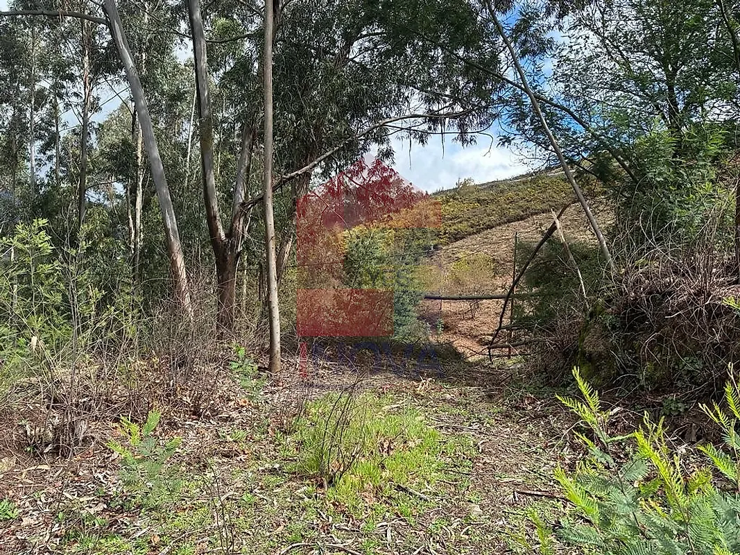 Moradia T0 à venda em Ribeira do Neiva, Vila Verde — foto 23