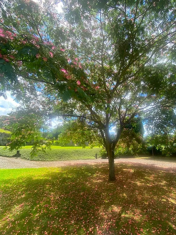 Apartamento T5 à venda em Agualonga, Paredes de Coura — foto 23