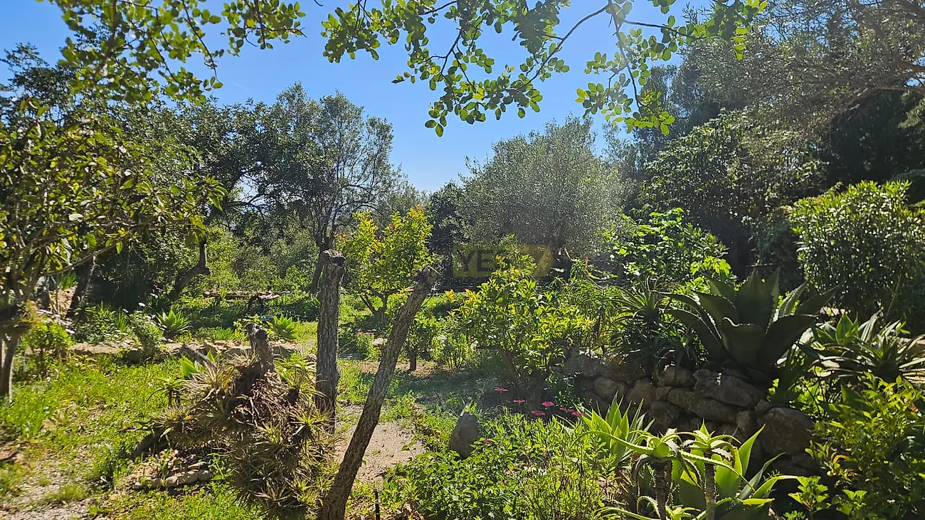 Moradia T4 à venda em Conceição e Estoi, Faro — foto 23