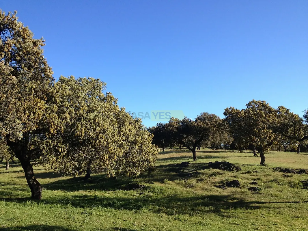 Apartamento T3 à venda em Almodôvar e Graça dos Padrões, Almodôvar — foto 6