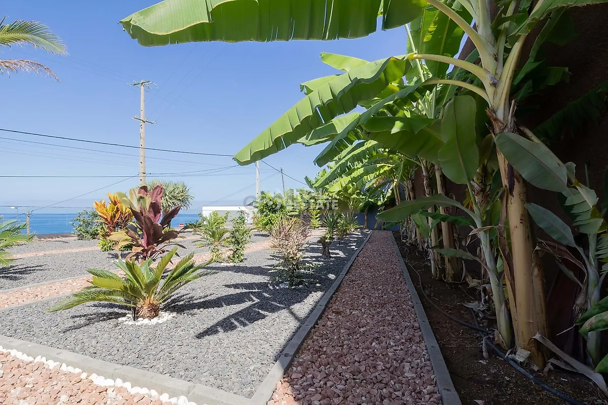 Moradia T4 à venda em Arco da Calheta, Calheta — foto 30