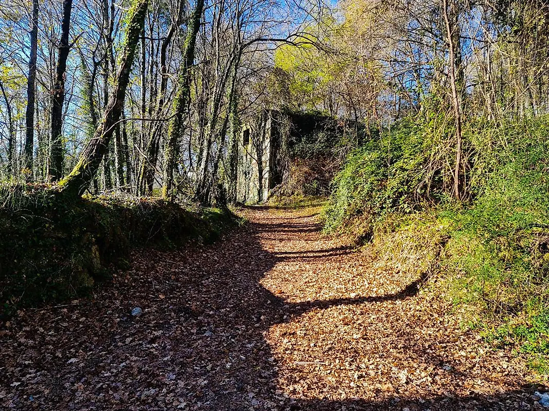 Moradia T0 à venda em Labruja, Ponte de Lima — foto 3