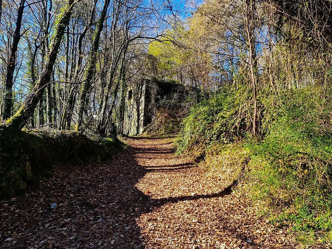 Moradia T0 à venda em Labruja, Ponte de Lima — foto 4