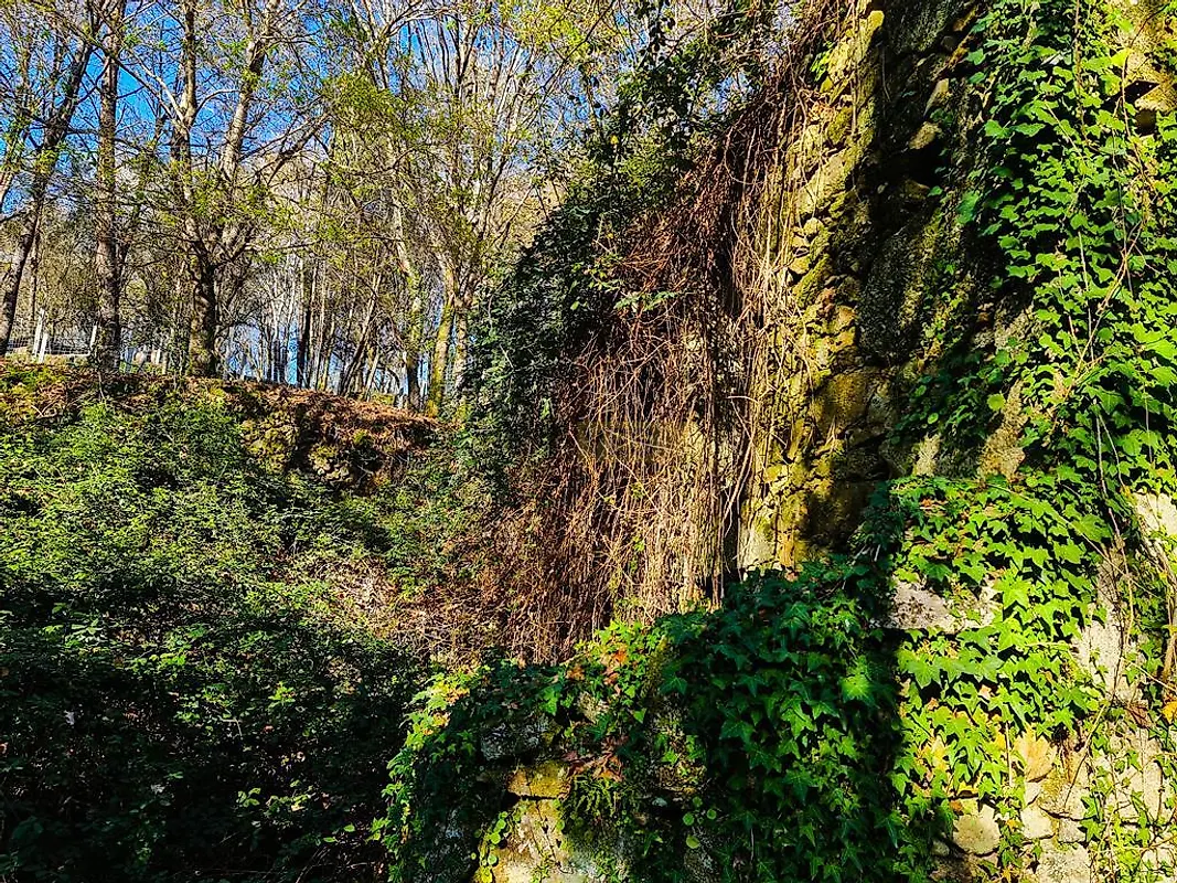 Moradia T0 à venda em Labruja, Ponte de Lima — foto 6