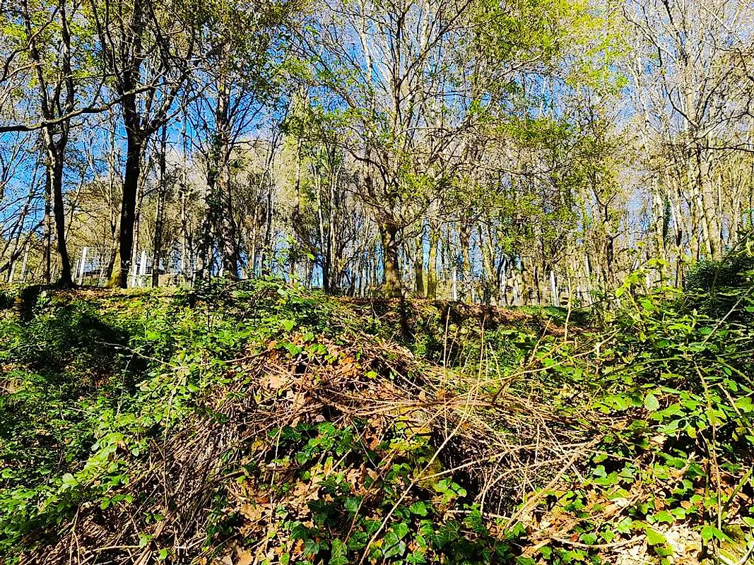 Moradia T0 à venda em Labruja, Ponte de Lima — foto 10