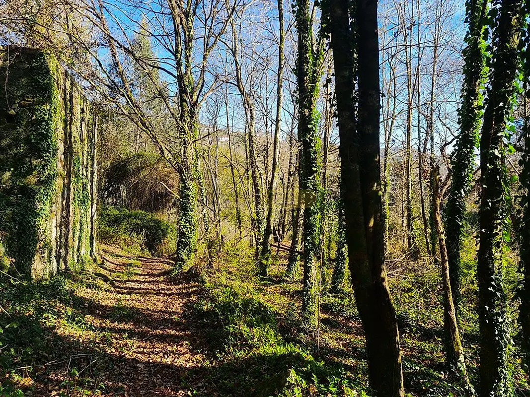 Moradia T0 à venda em Labruja, Ponte de Lima — foto 14