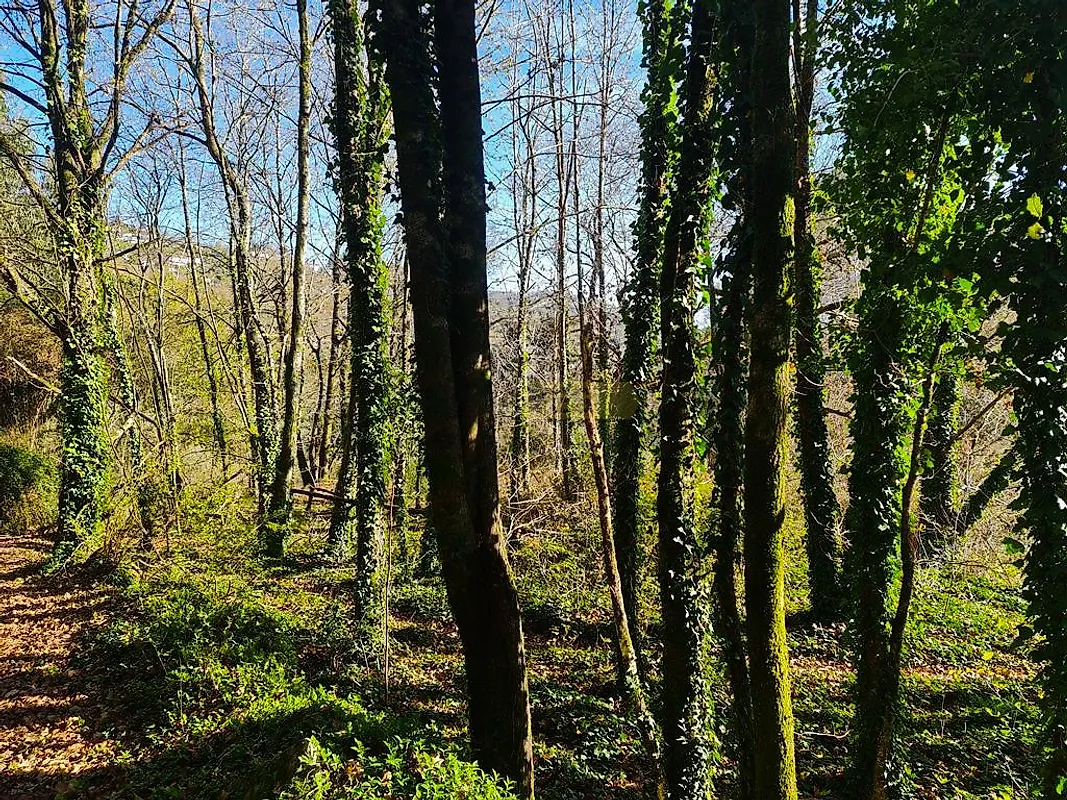Moradia T0 à venda em Labruja, Ponte de Lima — foto 15