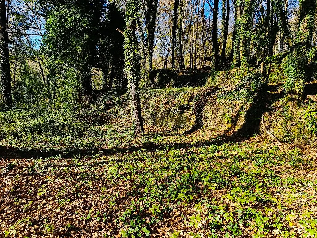 Moradia T0 à venda em Labruja, Ponte de Lima — foto 16