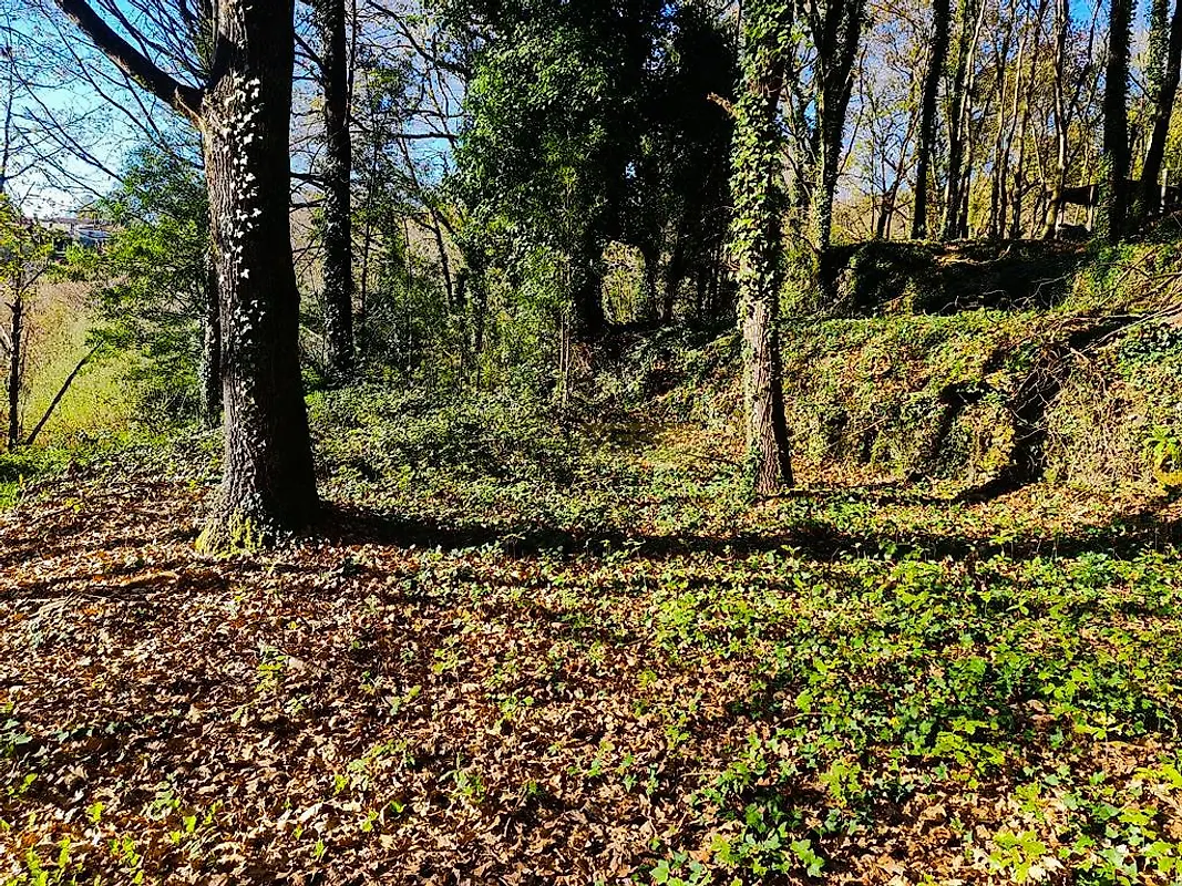 Moradia T0 à venda em Labruja, Ponte de Lima — foto 17