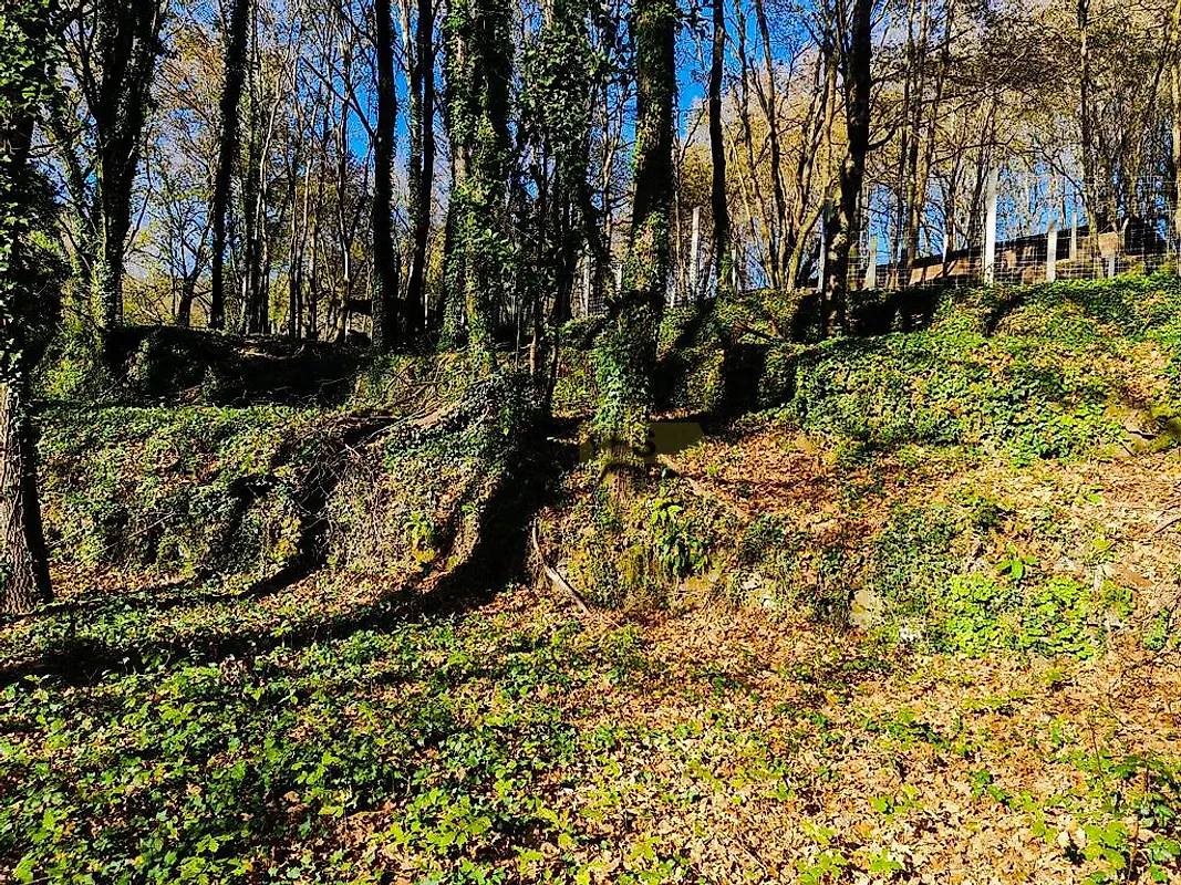 Moradia T0 à venda em Labruja, Ponte de Lima — foto 18