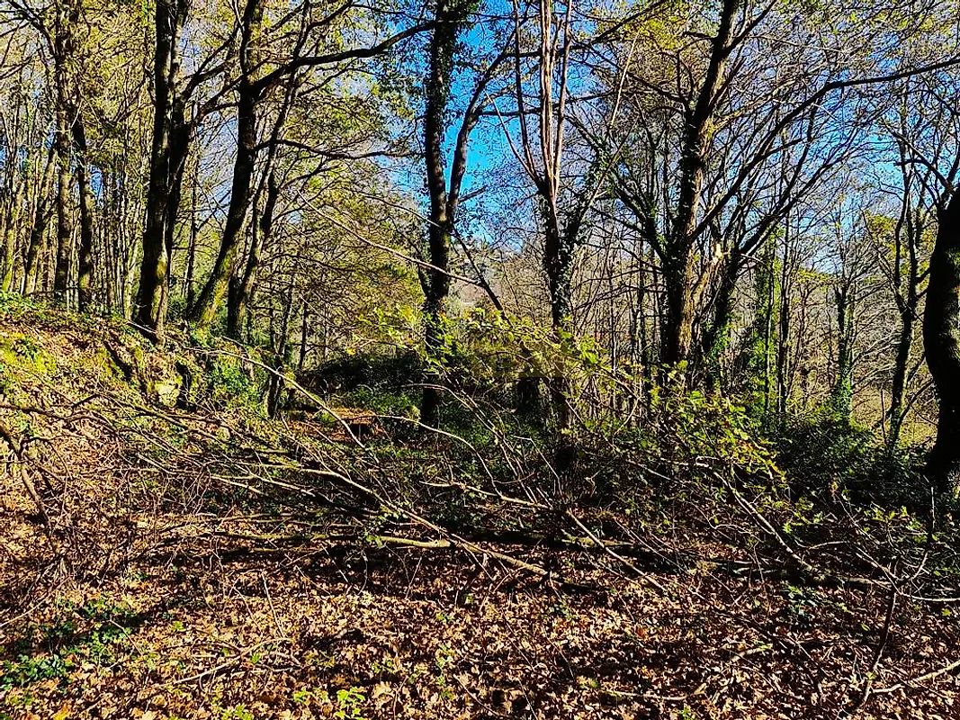 Moradia T0 à venda em Labruja, Ponte de Lima — foto 19