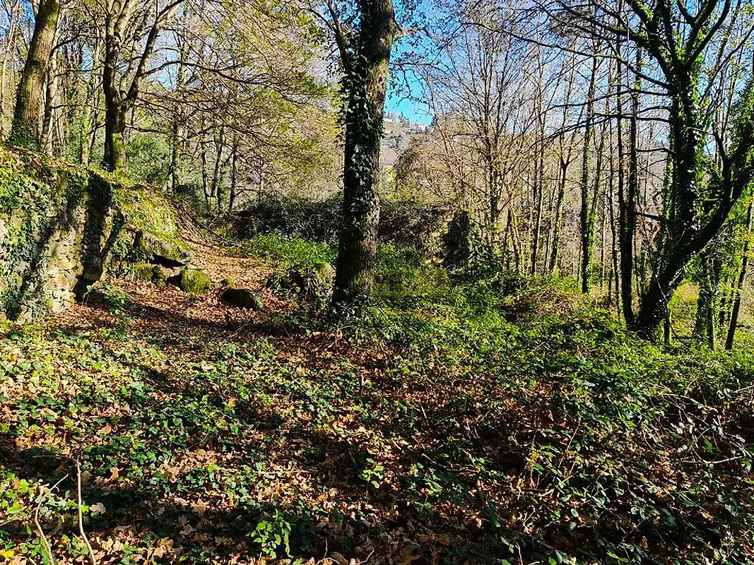 Moradia T0 à venda em Labruja, Ponte de Lima — foto 20