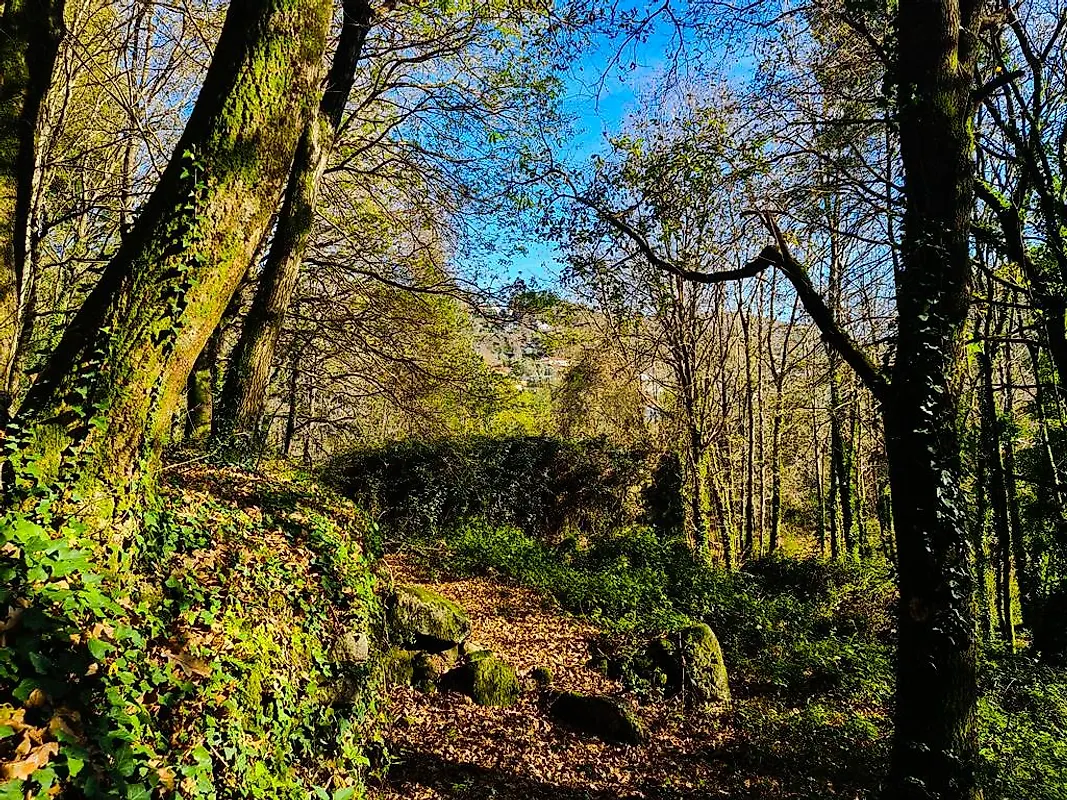 Moradia T0 à venda em Labruja, Ponte de Lima — foto 21