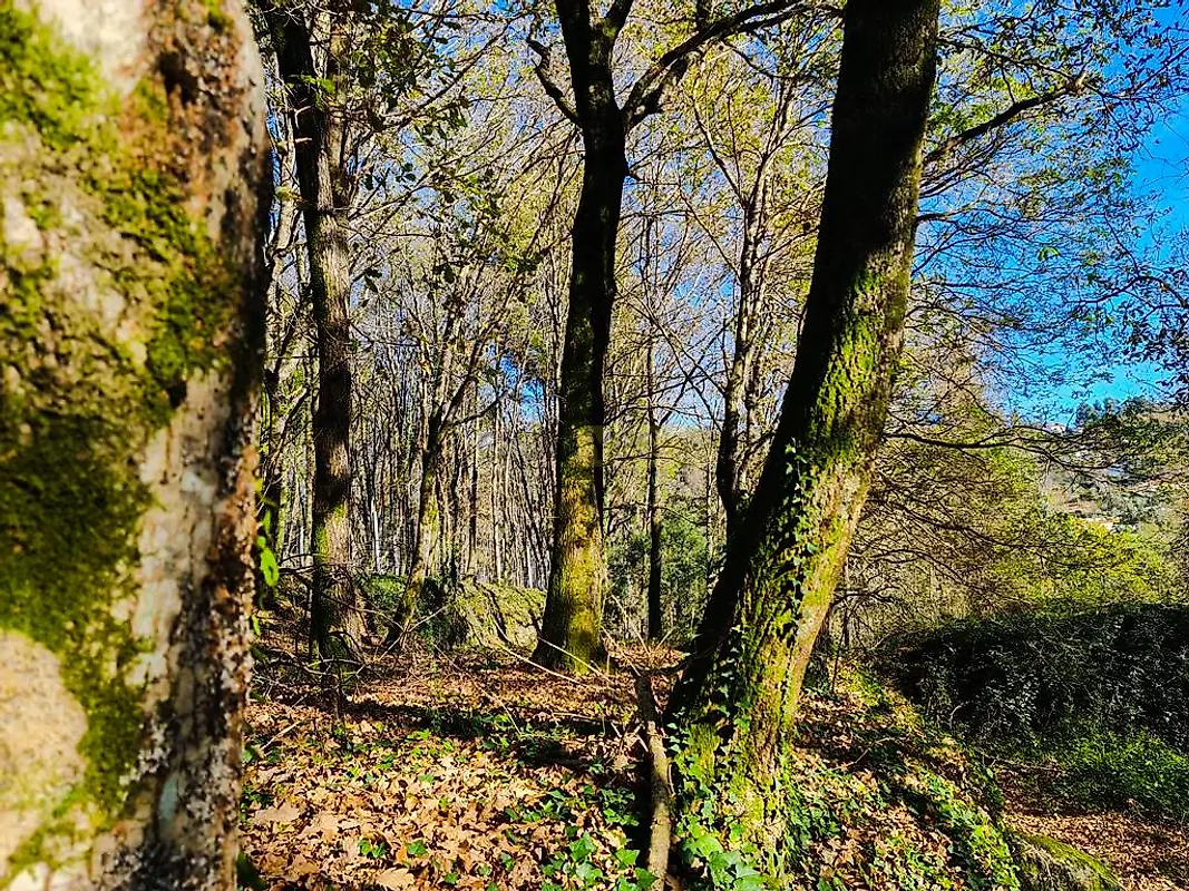 Moradia T0 à venda em Labruja, Ponte de Lima — foto 22