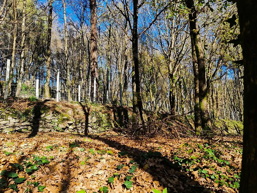 Moradia T0 à venda em Labruja, Ponte de Lima — foto 23