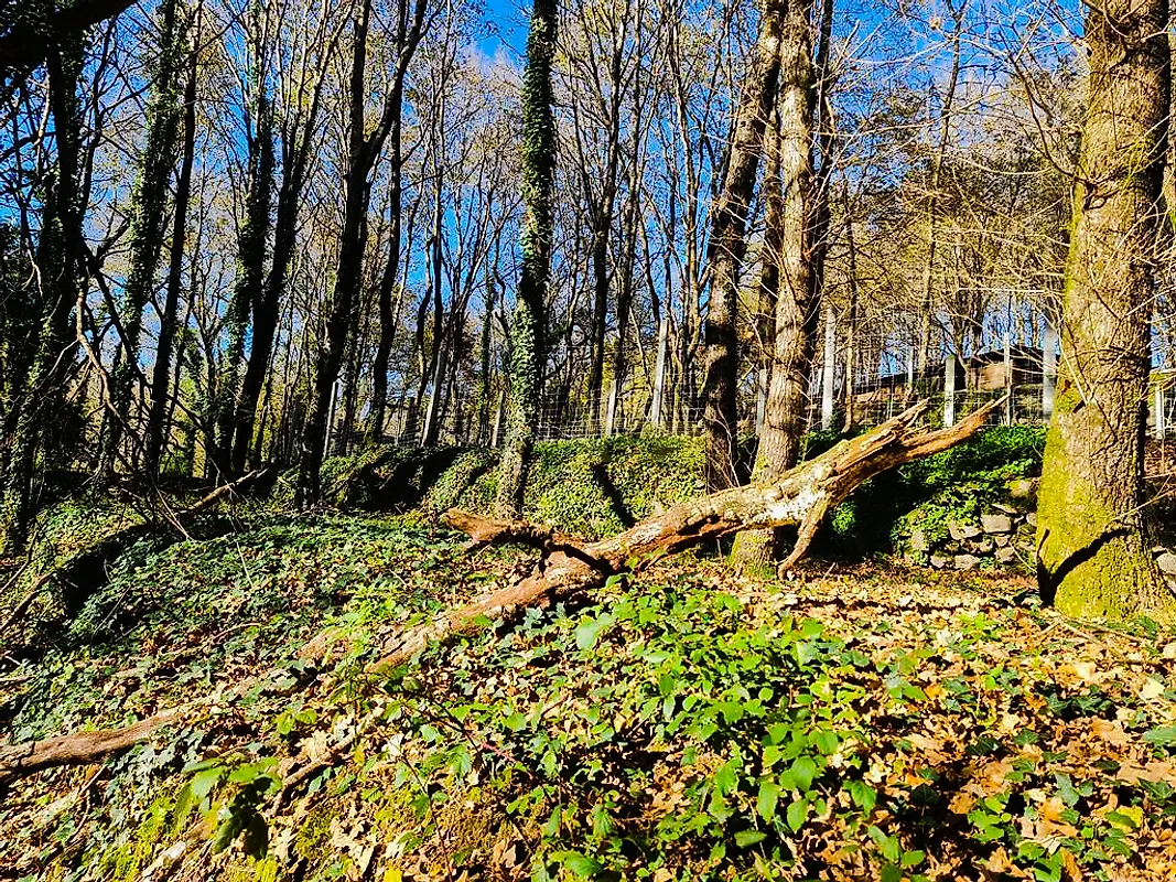 Moradia T0 à venda em Labruja, Ponte de Lima — foto 24