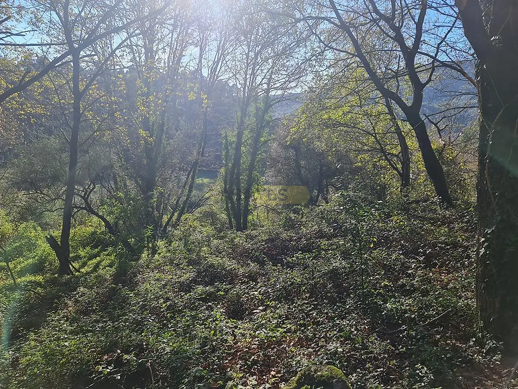 Moradia T0 à venda em Labruja, Ponte de Lima — foto 26