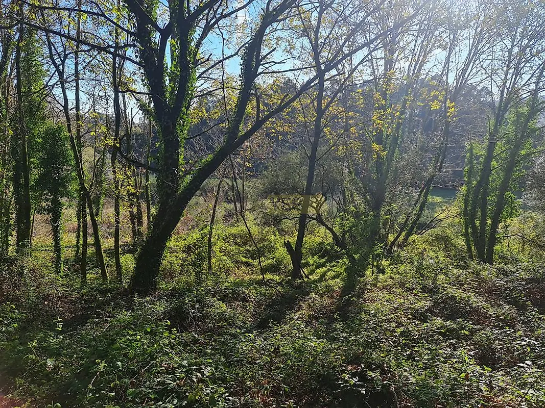 Moradia T0 à venda em Labruja, Ponte de Lima — foto 28